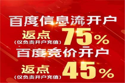 百度移动端应用推广策略探讨